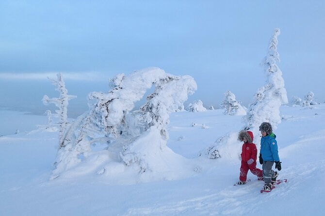scenic-snowshoeing-on-the-top-of-pyha-fell-2