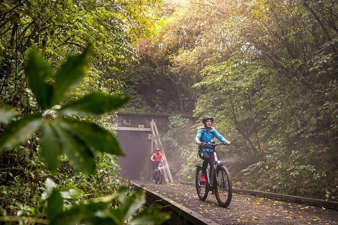Scenic Spooners Tunnel Adventure in Nelson Tasman - The Value of This Experience