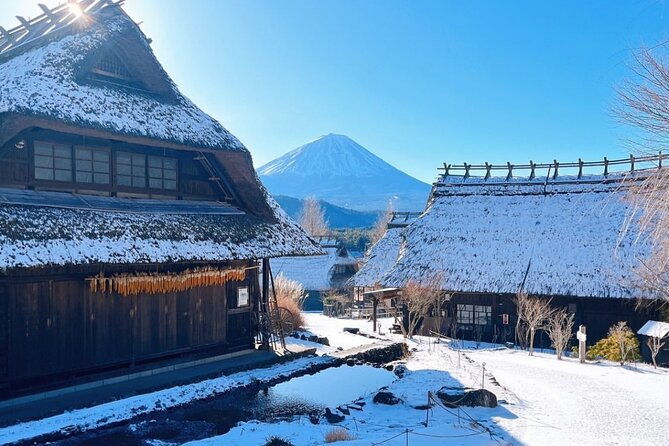 scenic-spots-of-mount-fuji-full-day-sightseeing-tour-from-tokyo