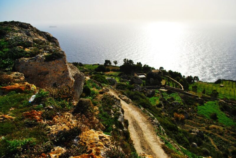 Scenic Tour by Vintage Bus to Buskett Garden & Dingli Cliffs - A Closer Look at the Itinerary and Experience