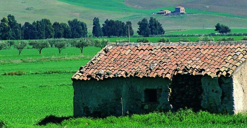 scenic-tour-of-etna-foot-hills-and-alcantara-gorges