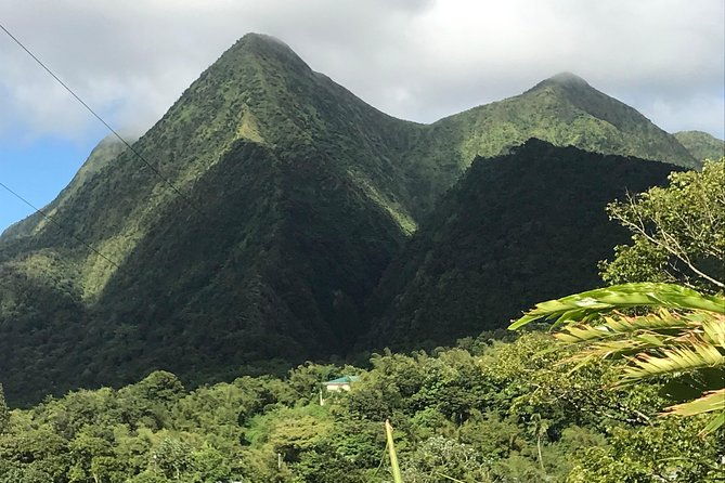 scenic-tropical-rainforest-island-tour