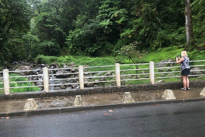 scenic-tropical-rainforest-island-tour