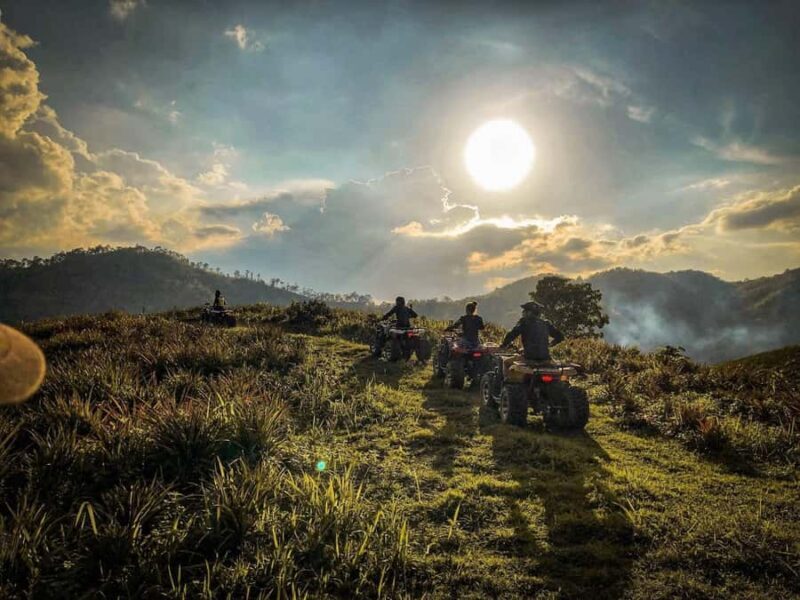 Scenic View ATV Tour and Pineapple Farm Visit in Chiang Rai - FAQ