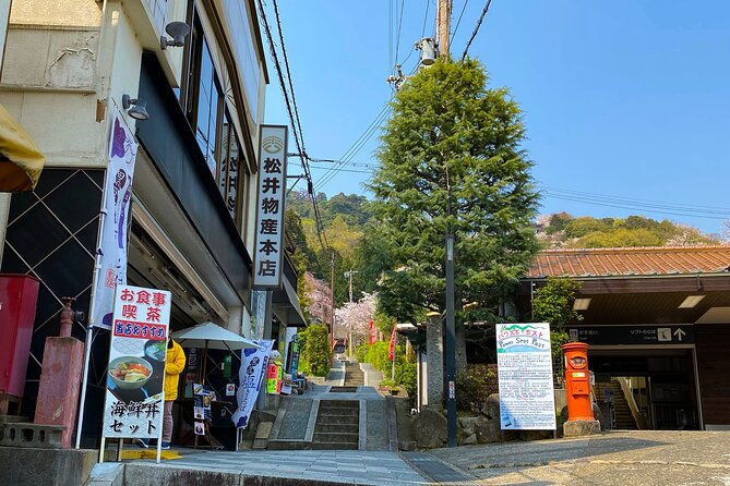 scenic-view-of-amanohashidate-and-ine-village-from-osaka
