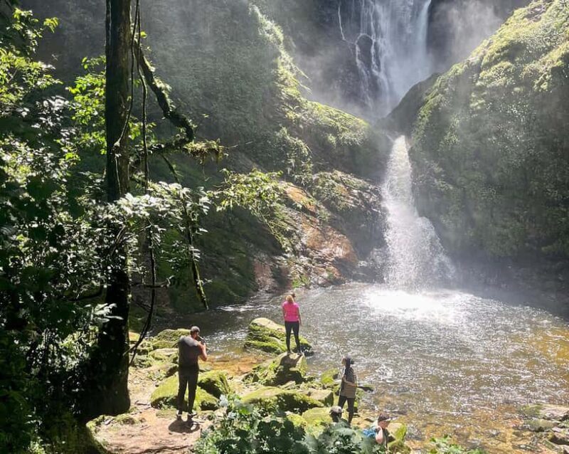 Scenic waterfall experience in the middle of Nyungwe Forest - Exploring Nyungwe Forest: A Natural Wonderland