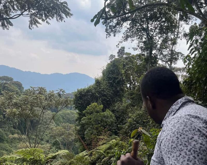 Scenic waterfall experience in the middle of Nyungwe Forest - FAQ