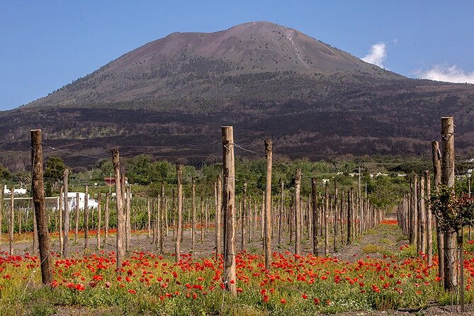 scenic-wine-tasting-lunch-on-the-slopes-of-vesuvius-from-naples