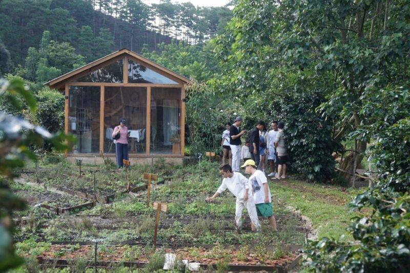 scented-candle-workshop-at-twin-beans-farm-da-lat-suburb