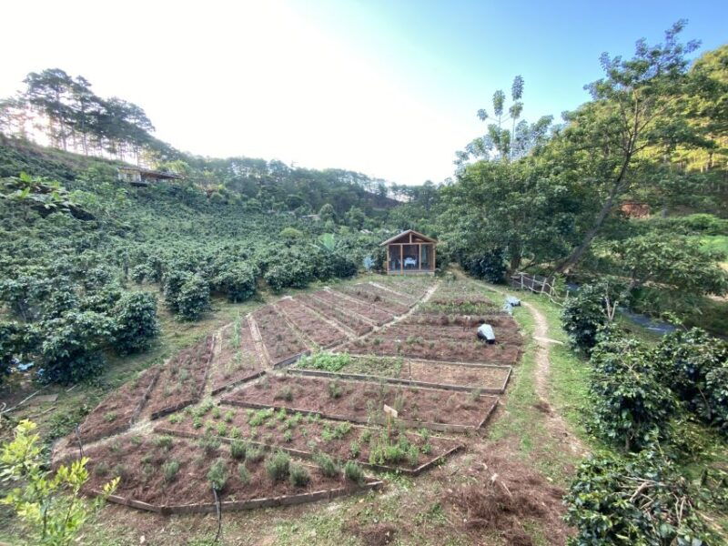 scented-candle-workshop-at-twin-beans-farm-da-lat-suburb