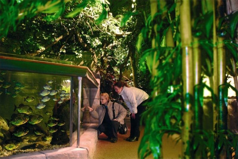 scheveningen-the-hague-sea-life-entry-ticket