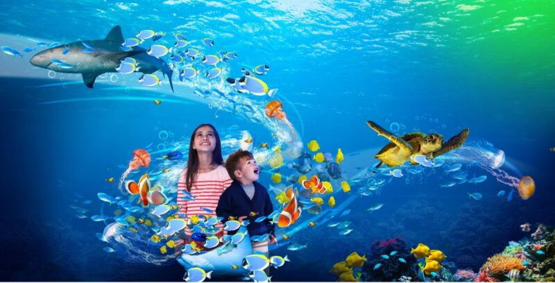 scheveningen-the-hague-sea-life-entry-ticket