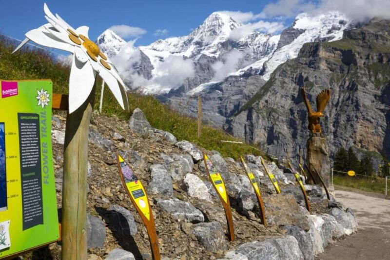 Schilthorn Day Trip and Bond World 007 from Geneva - What’s Included and What’s Not