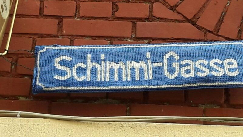 schimmi-tour-pure-without-catering