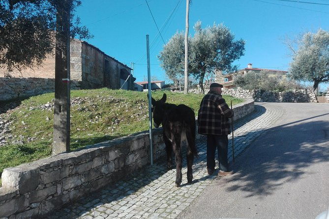 schist-villages-of-lousa-full-day-from-coimbra