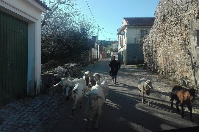 schist-villages-of-lousa-full-day-from-coimbra