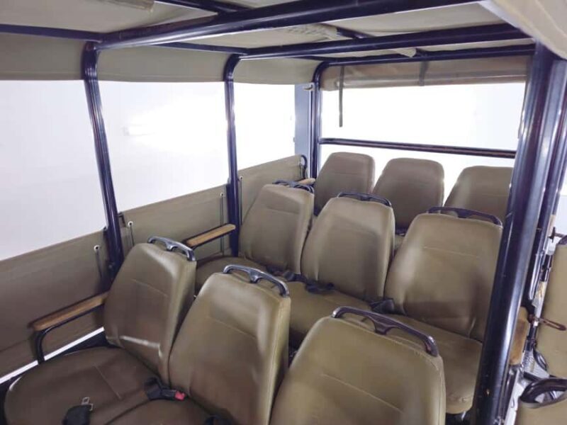 Schotia: Open Safari Jeep - Full Day Safari with Lunch - The Value of the Experience