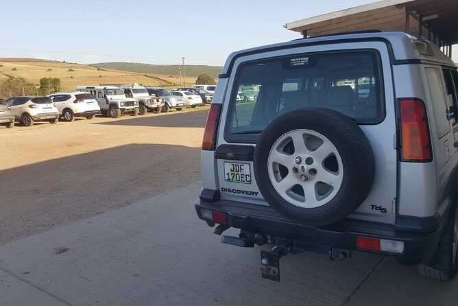Schotia open vehicle safari game drive maximum 10 pax - FAQ