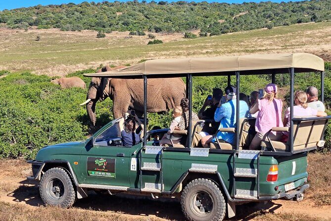 Schotia Private Game African Safari Guided Tour - The Guides: Knowledge That Elevates the Experience