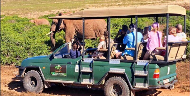 Schotia Safaris: Best Wildlife Encounters in Port Elizabeth - Practical Details That Matter