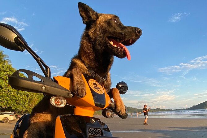 scooter-rentals-in-manuel-antonio