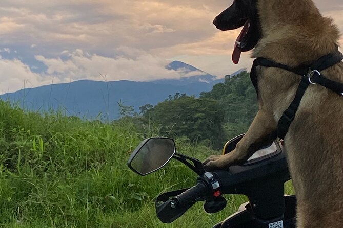 scooter-rentals-in-manuel-antonio
