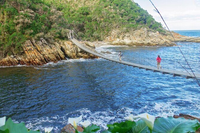 Scooter Tours through Tsitsikamma National Park - Key Points