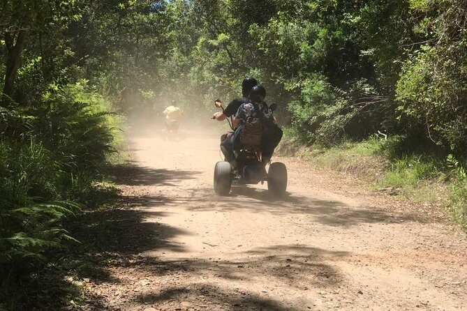 Scooter Tours through Tsitsikamma National Park - Final Thoughts