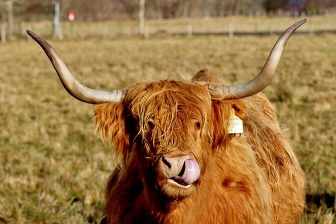 scotland-lochs-glens-day-tour