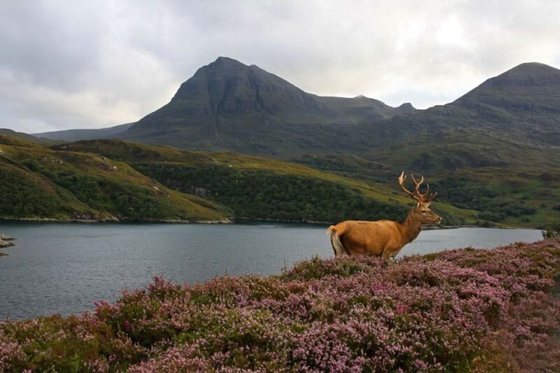 scotland-orkney-and-northern-coast-5-day-tour
