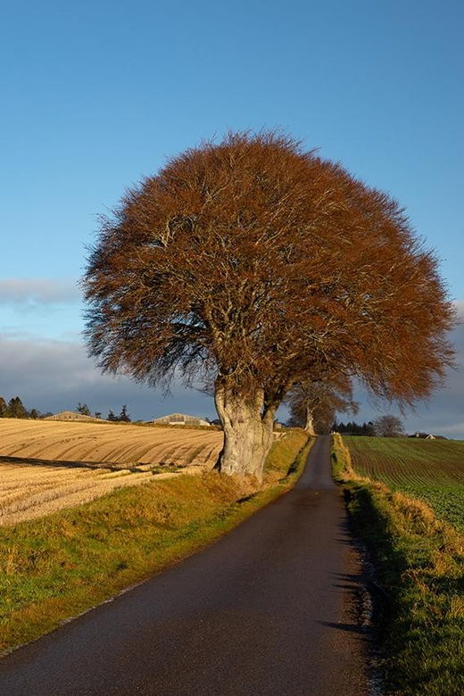 scotland-photography-group-tour-with-pro-photographer