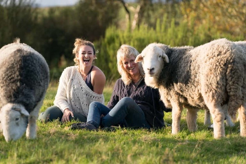 Scotland: Relaxation Retreat with Naughty Sheep - The Experience in Detail