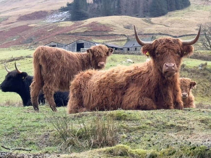 Scotland: Silver Ring Making Workshop - Private Workshop - FAQ