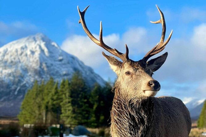 scottish-highlands-loch-ness-and-glencoe-day-trip-from-edinburgh
