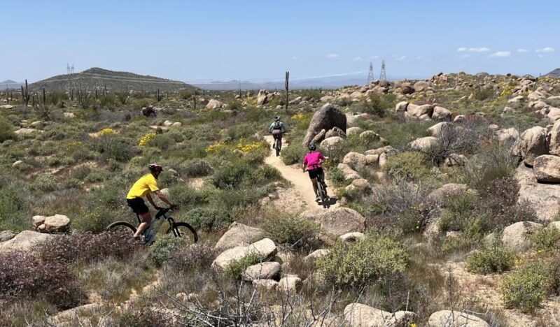scottsdale-az-private-guided-desert-mountain-bike-tours