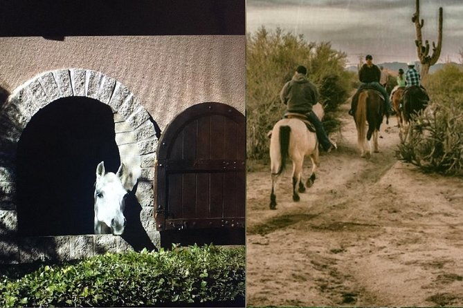 scottsdale-horseback-riding-and-horse-country-estate-tour