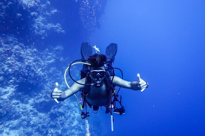 Scuba Dive and Explore Aqaba's Red Sea with a Private Guide - Discovering Aqaba’s Marine Treasures