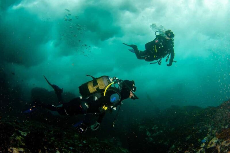 Scuba Dive in Cape Town: 2 Dives for certified divers - Final Thoughts