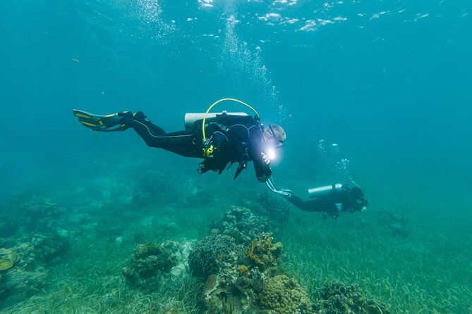 scuba-dive-in-the-west-end-of-roatan-with-private-transfer