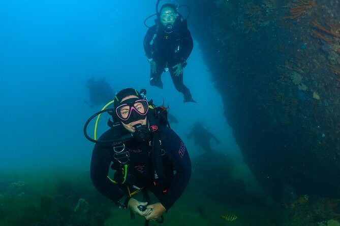 Scuba Dive The Beautiful Rottnest Island for Certified divers - Introducing the Scuba Dive Experience at Rottnest Island