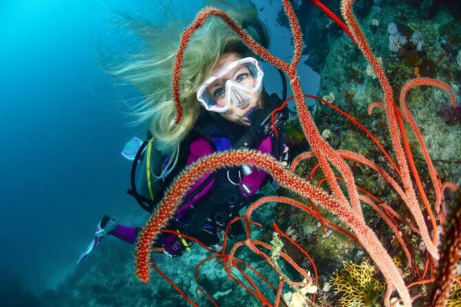 Scuba dive with sharing transfers - Key Points