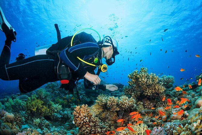 Scuba dive with sharing transfers - Frequently Asked Questions