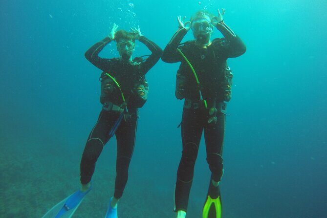 Scuba Diving 2 Dives from the Boat - The Itinerary: What You Can Expect on the Day