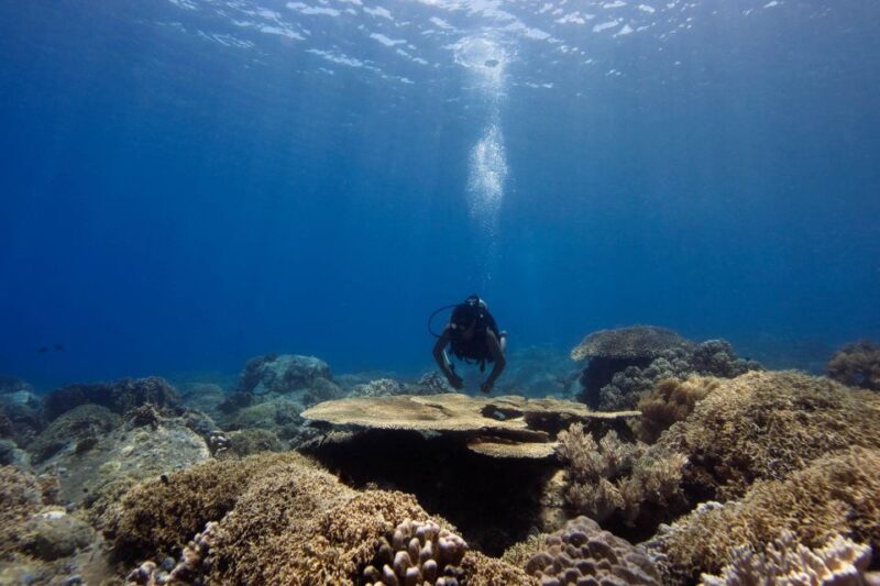 Scuba Diving 3 Islands Nha Trang Tour - What to Expect from the Tour