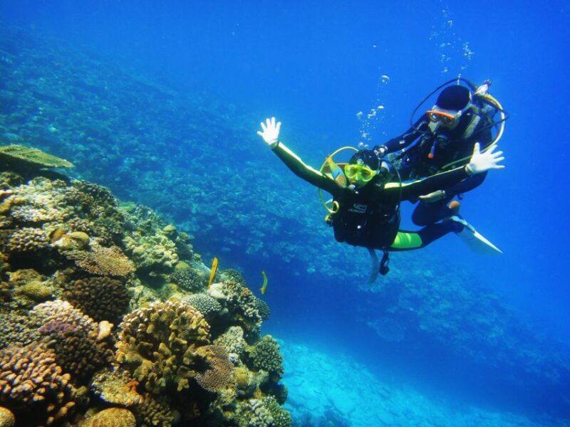Scuba Diving 3 Islands Nha Trang Tour - Navigating the Price and Value