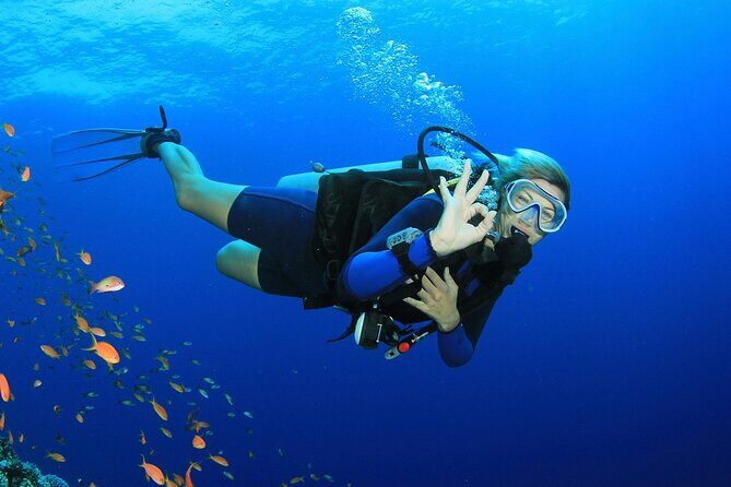 Scuba Diving Activity in Dubai with Hotel Pickup - What Reviewers Loved Most