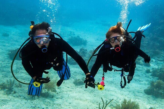 Scuba Diving Activity in Dubai with Hotel Pickup - FAQ