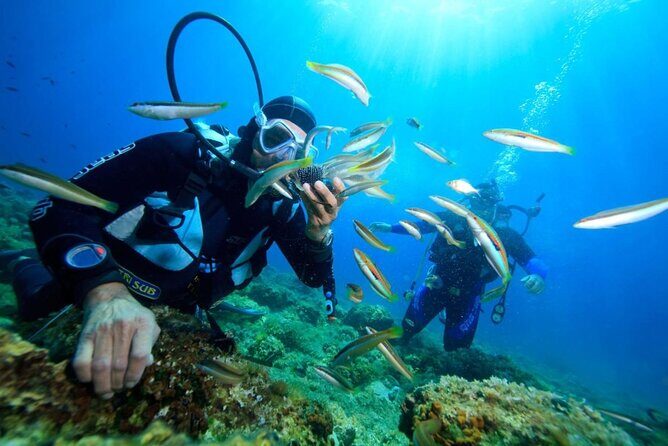 Scuba Diving Adventure and Coral Reefs in Nha Trang - Final Thoughts: Who Is This Tour Best For?