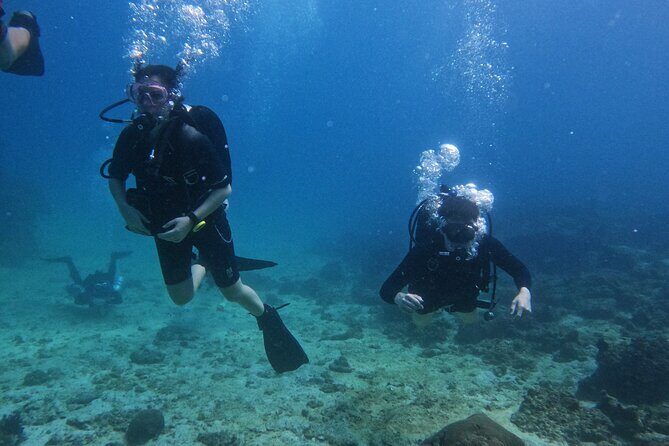 Scuba Diving Adventure in Musandam, Oman - Authentic Insights from Reviewers