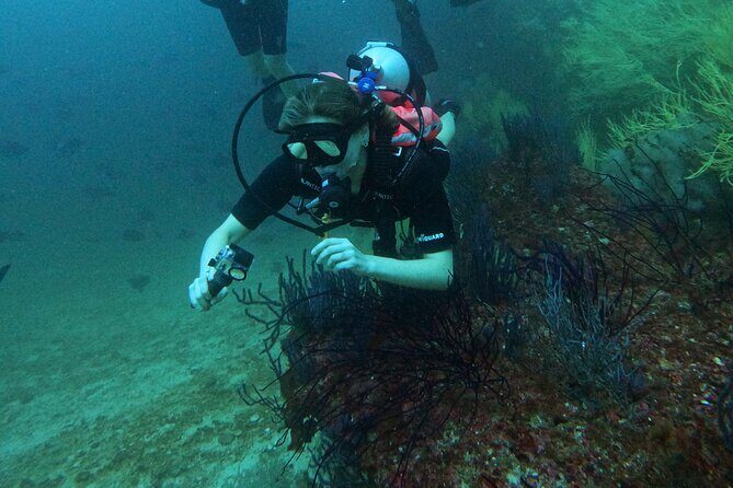 Scuba Diving Adventure in Musandam, Oman - The Sum Up